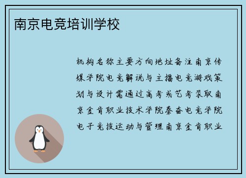 南京电竞培训学校